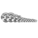 TOS10 Talerz olimpijski stalowy kalibrowany 1 kg HMS srebrny
