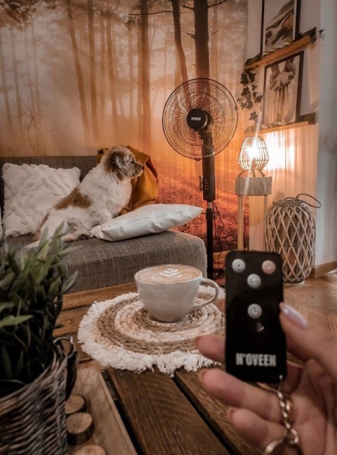 Wentylator stojący 16"/40cm NOVEEN F455 pilot 55W