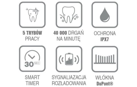 Szczoteczka soniczna do mycia zębów SD100C Szczoteczka soniczna do mycia zębów SD100C