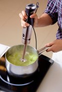 Blender ręczny BL210 Eldom