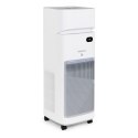 Oczyszczacz powietrza Webber AP9650 WIFI