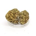 CBD Kwiaty Konopi "AMAZING HAZE" 5 g
