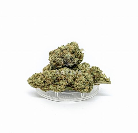 CBD Kwiaty Konopi "KOSHER KUSH" 5 g CBD Kwiaty Konopi "KOSHER KUSH" 5 g