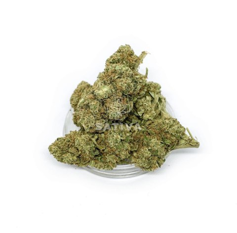 CBD Kwiaty Konopi "KOSHER KUSH" 5 g CBD Kwiaty Konopi "KOSHER KUSH" 5 g