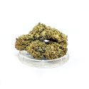 CBD Kwiaty Konopi "OG KUSH" 5 g