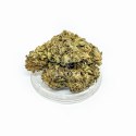CBD Kwiaty Konopi "OG KUSH" 5 g