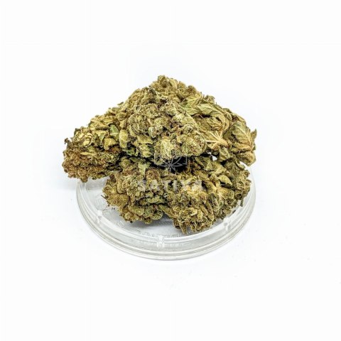 CBD Kwiaty Konopi "OG KUSH" 5 g CBD Kwiaty Konopi "OG KUSH" 5 g
