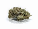 CBD Kwiaty Konopi " SUPER JAMAICA" 5 g