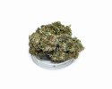 CBD Kwiaty Konopi " SUPER JAMAICA" 5 g