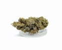 CBD Kwiaty konopi "SUPER SILVER HAZE" 5 g