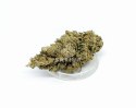 CBD Kwiaty konopi "SUPER SILVER HAZE" 5 g