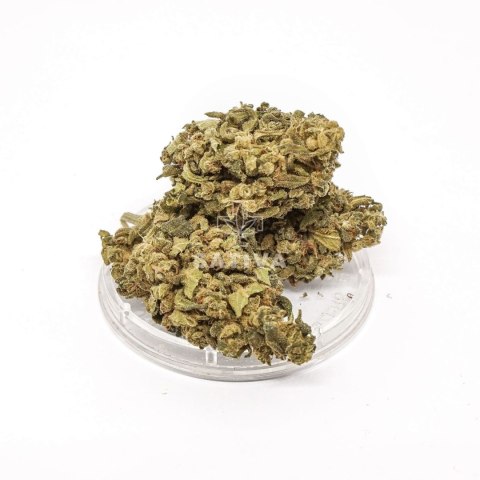 CBD Kwiaty Konopi "GREEN C" 3 g CBD Kwiaty Konopi "GREEN C" 3 g