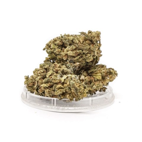CBD Kwiaty Konopi "GREEN C" 3 g CBD Kwiaty Konopi "GREEN C" 3 g