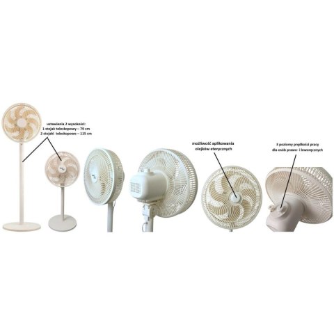 WENTYLATOR STOJĄCY BEST FAN 40W MAESTRO WENTYLATOR STOJĄCY BEST FAN 40W MAESTRO