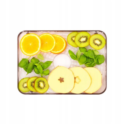 DUŻA Suszarka do Grzybów Owoców Warzyw IDEAL INOX +Termoobieg 400W +Timer DUŻA Suszarka do Grzybów Owoców Warzyw IDEAL INOX +Termoobieg 400W +Timer