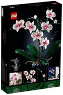 X LEGO Icons 10311 Orchidea