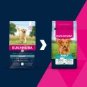 EUKANUBA Adult Large Breed Lamb & Rice 12kg