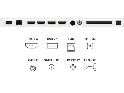 Telewizor 50" TCL 50V5C