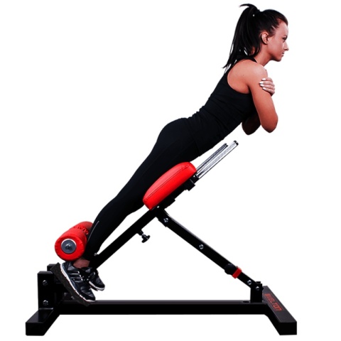 Kelton maszyna na prostowniki grzbietu. PM16..