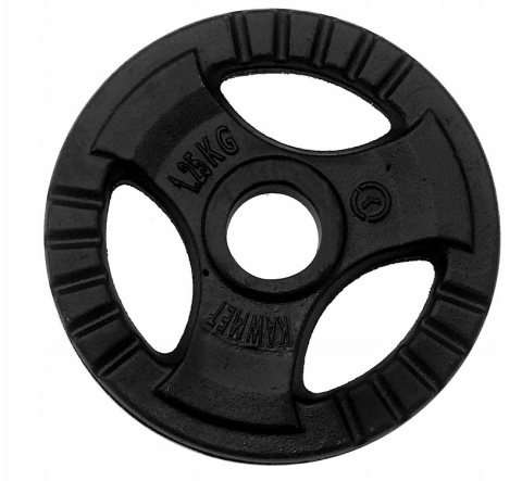 OBCIĄŻENIA ŻELIWNE 1.25KG KRĄŻEK TALERZ KIERWONICA