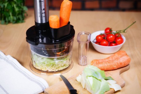 Blender ręczny rozdrabniacz 1000W Eldom BL220