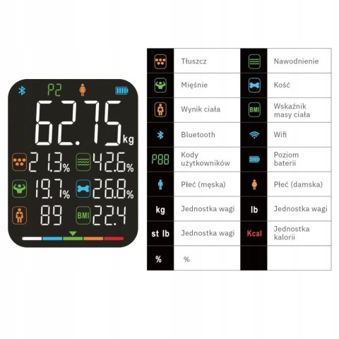 Waga łazienkowa Webber SCALA IF2825A analiza 15 parametrów Bluetooth