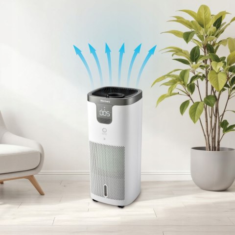 Oczyszczacz Webber GALAXY APEH11003 WiFi UV-C nawilżacz 8L