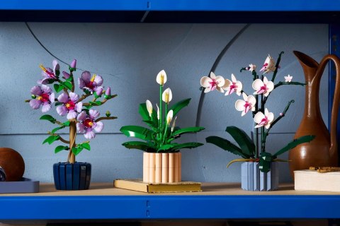 LEGO Botanical 11504 Skrzydłokwiat w doniczce