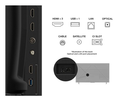 Telewizor TCL 50P69K LED 50'' 4K Ultra HD Google TV Dolby Digital DVB-T2 Czarny