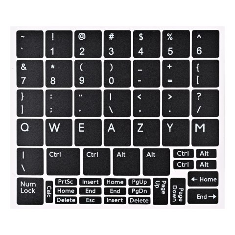 DELL LATITUDE 5430 i5-1245U 16GB 256GB SSD 14" FHD (US QWERTY) Win11pro + zasilacz UŻYWANY