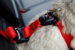 ZOLUX Szelki dla psa TRAVEL SAFE S czarne