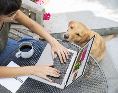 ASUS Vivobook 14 M1407GA-LY012W Ryzen AI 7 445 14.0"WUXGA IPS-level 60Hz 300nits AG 16GB DDR5 SSD512 Cam1080 42WHrs Win11 Cool S