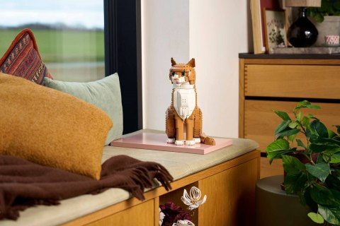 LEGO Ideas 21376 - Rudy kot