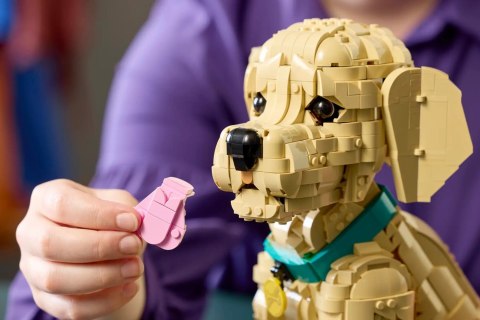 LEGO 11384 Icons - Szczeniak golden retriever