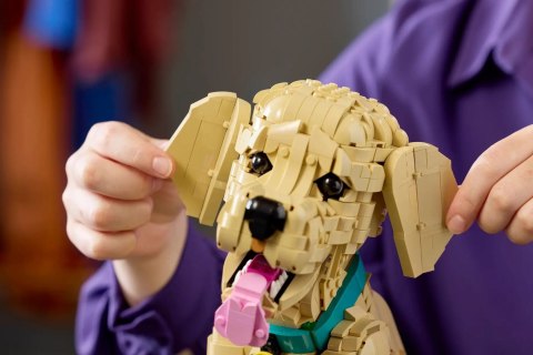 LEGO 11384 Icons - Szczeniak golden retriever